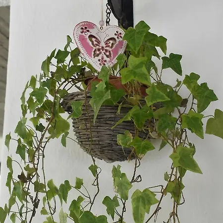 Giorgos-fenia Διαμέρισμα *